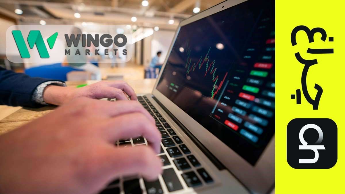 ثبت ‌نام در وینگو مارکتس با چراغ؛ سود بیشتر، ریسک کمتر