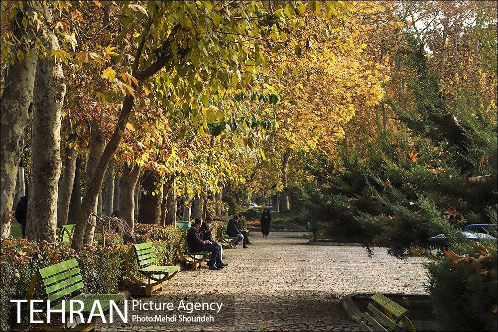 نیمکت های این پارک تلفن همراه تان را شارژ می کند