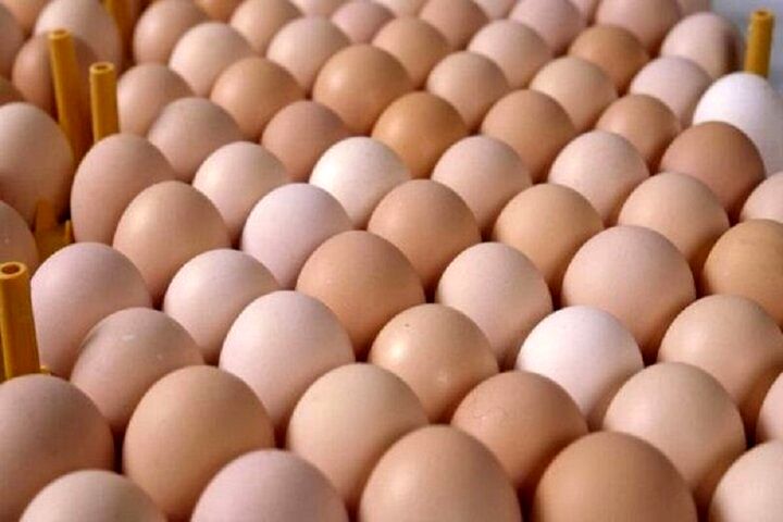 قیمت انواع تخم مرغ پوست سفید در تهران اعلام شد