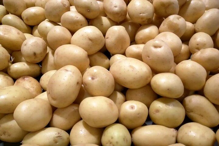 پشت پرده عجیب سیب‌زمینی از زبان وزیر دادگستری