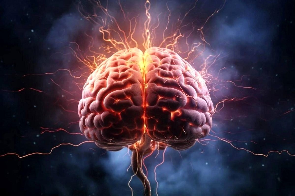 مغز از چه سنی پیر می‌شود؟