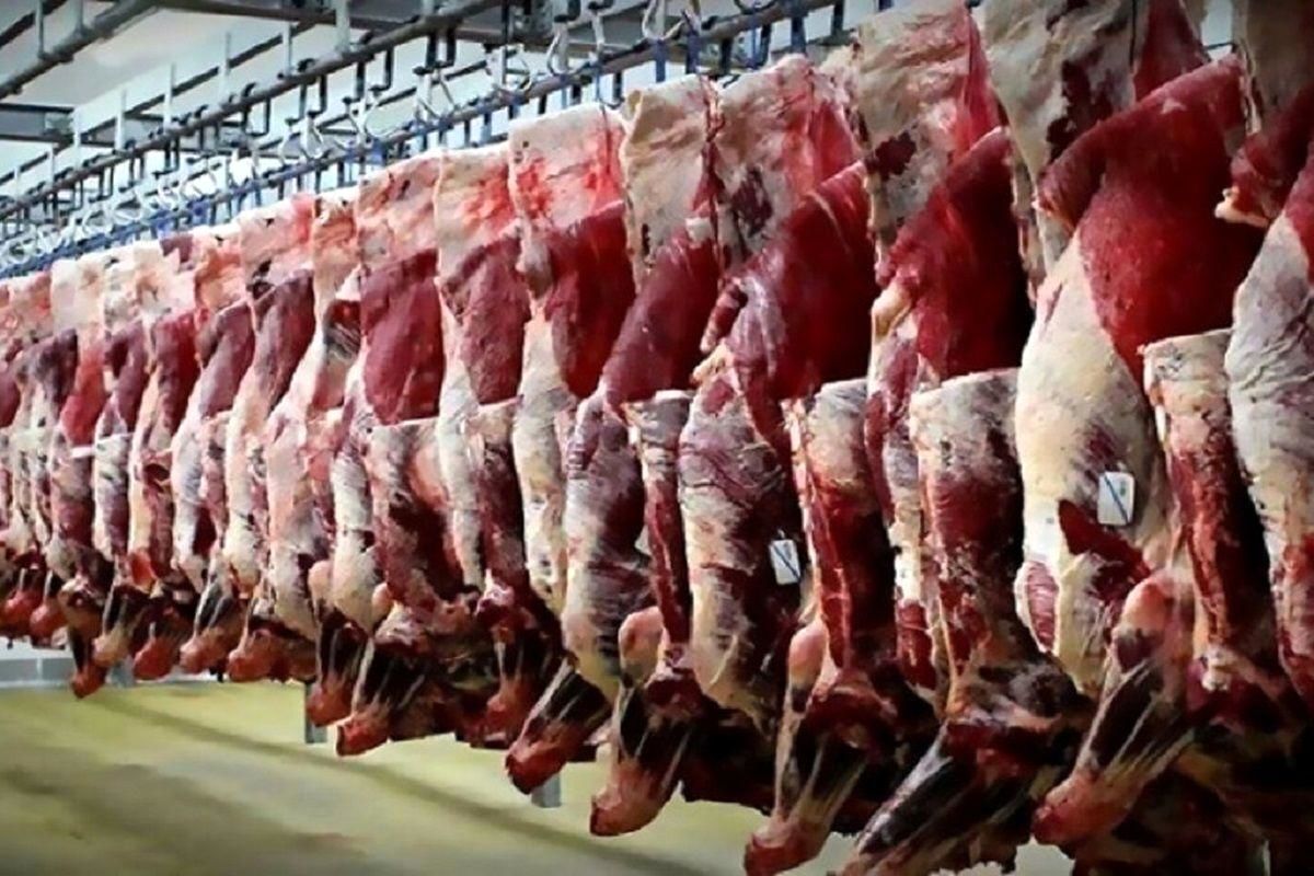 قیمت گوشت قرمز امروز ۲۰ فروردین ۱۴۰۴ + جدول