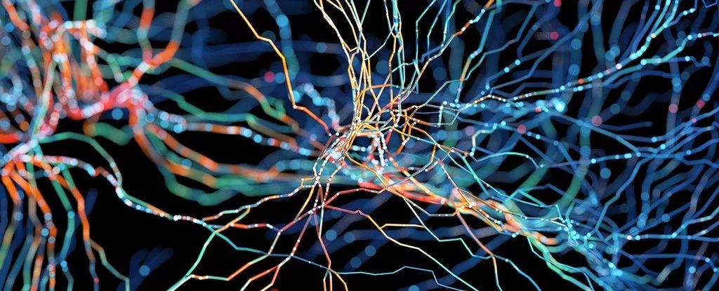 مطالعه جدید: انباشت آهن در مغز افراد مبتلا به ADHD، احتمالا منجر به آلزایمر می‌شود