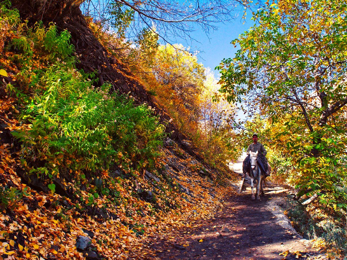 روستای آهار؛ آهار، بهشتی پنهان در شمال تهران