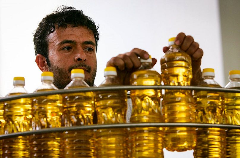 سناریوی تکراری در بازار روغن؛ از توزیع قطره‌چکانی تا گرانی