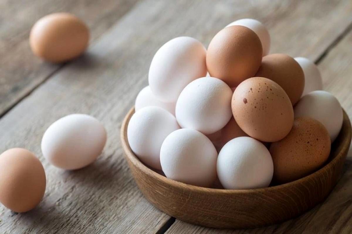 تخم‌مرغ را گران‌تر از این قیمت نخرید