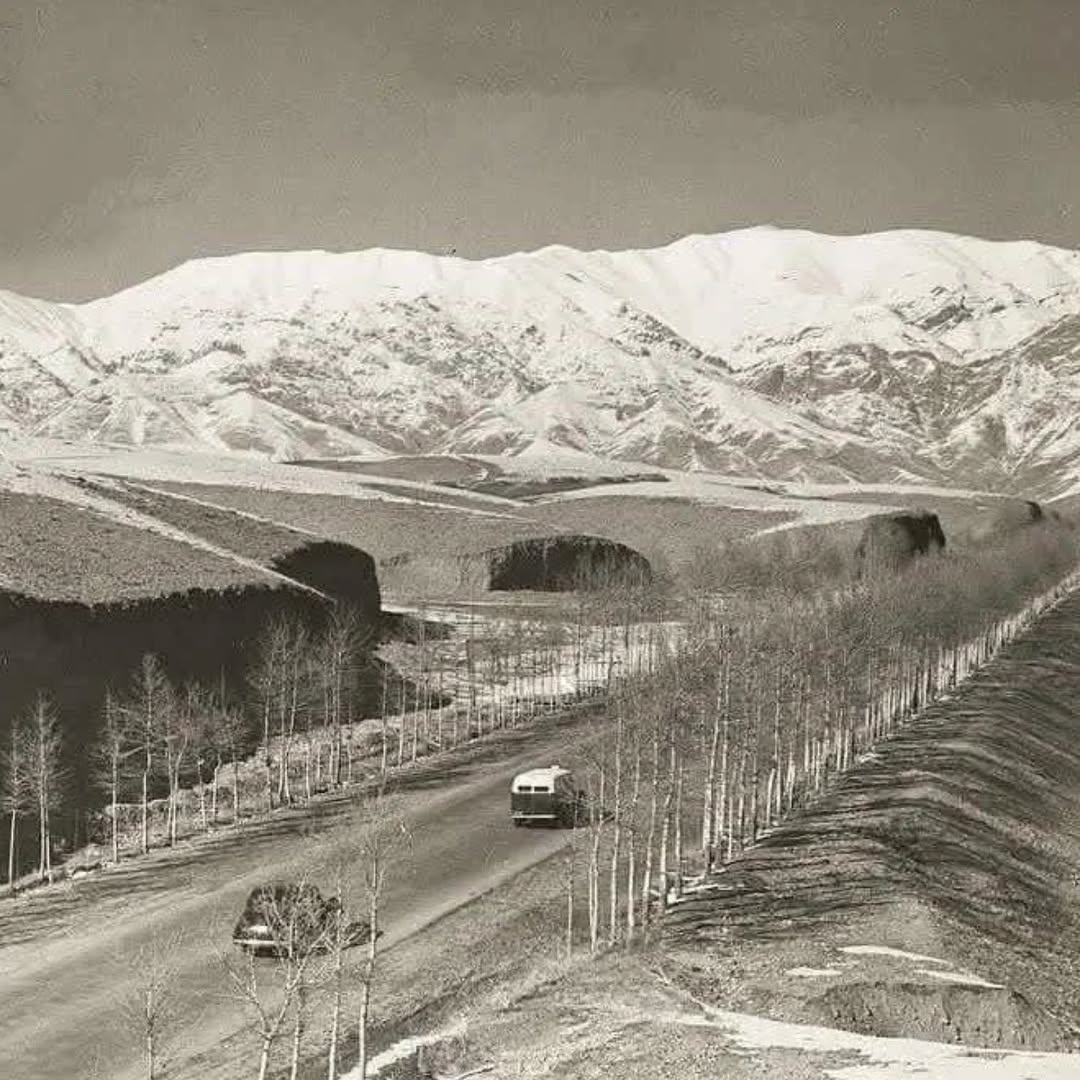تصویر باورنکردنی از خیابان ولیعصر تهران در سال ۱۳۲۹ photo_۲۰۲۵-۰۷-۱۹_۱۵-۵۷-۵۸