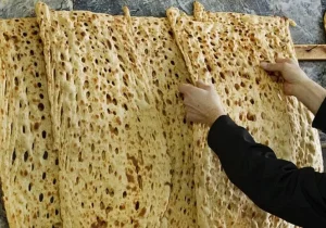 تعلل دولت در اعلام نرخ خرید تضمینی گندم | زنگ خطر برای نان و امنیت غذایی