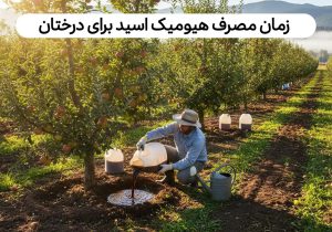 زمان مصرف هیومیک اسید برای درختان