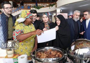 انتقاد تند و تیز روزنامه زاکانی به همسر سیدعباس عراقچی