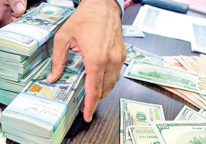سیاست جدید بانک مرکزی / 1000 یورو برای هر ایرانی